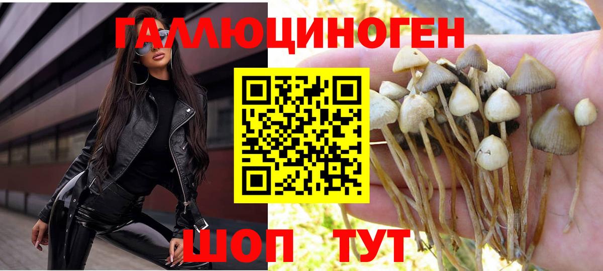 Псилоцибиновые грибы MAGIC MUSHROOMS Дивногорск