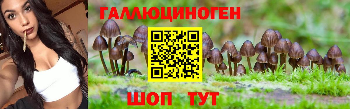 Дивногорск  Галлюциногенные грибы Magic Shrooms  Вход с VPN 